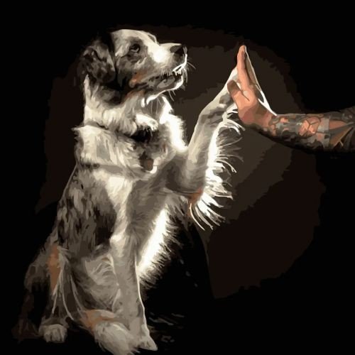 Живопис за номерами "Дружба" 40*40см