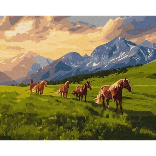 Набір для розпису по номерах "Вільні духом" 40х50см