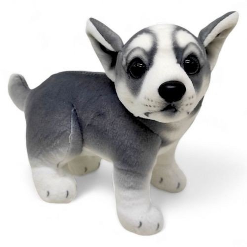 М'яка іграшка (24 см), Хаскі