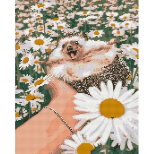 Алмазна мозаїка "Їжачок у ромашках" 40х50 см