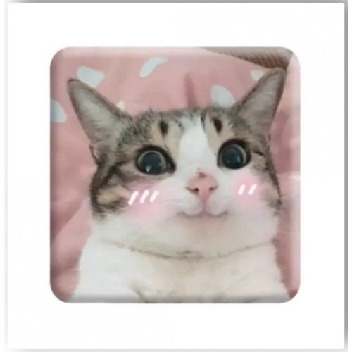 3D-стікер "Мем милий котик"