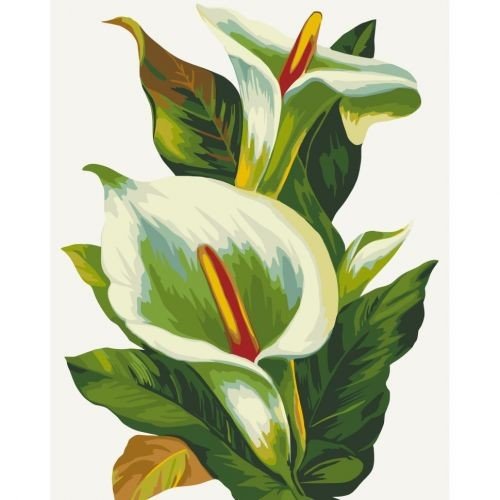 Картина за номерами "Білі квіти" 40х50 см