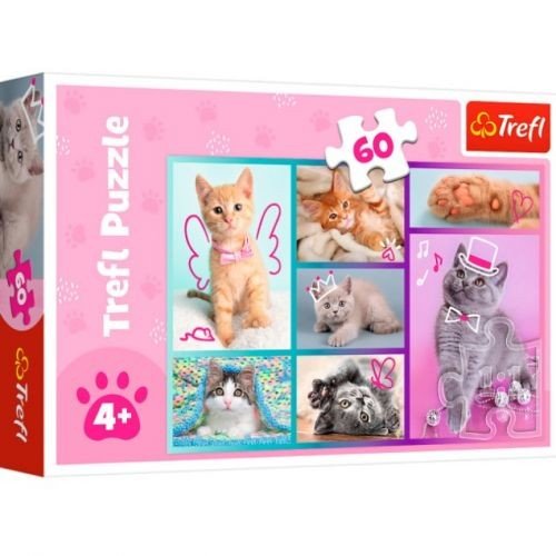 Пазли (60 ел) "Милі котики"
