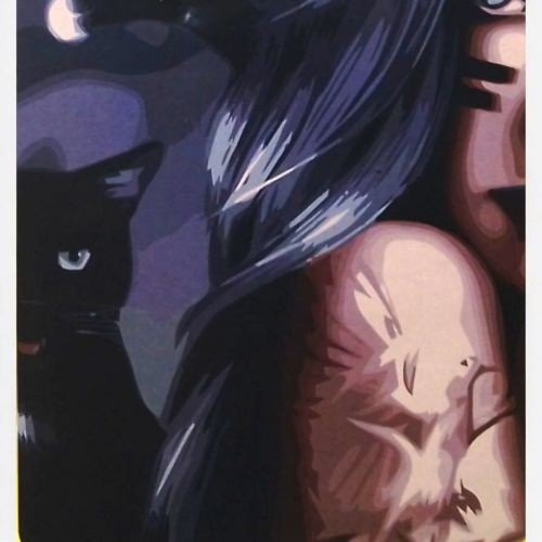 Картина по номерах 0638 ОРТ Мольфарка 40*50