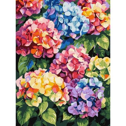 Картина за номерами "Різнокольорові гортензії" 30х40 см