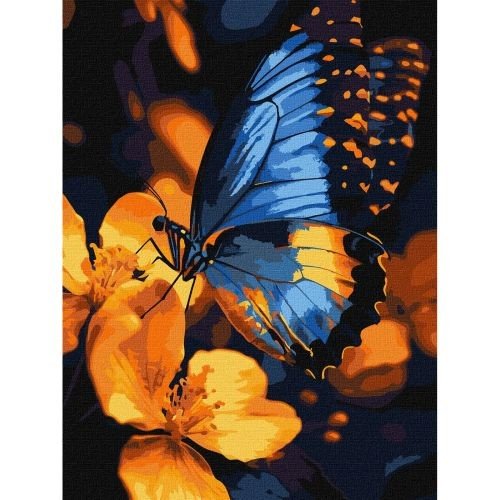 Картина за номерами "Мерехтіння крил" 30х40 см