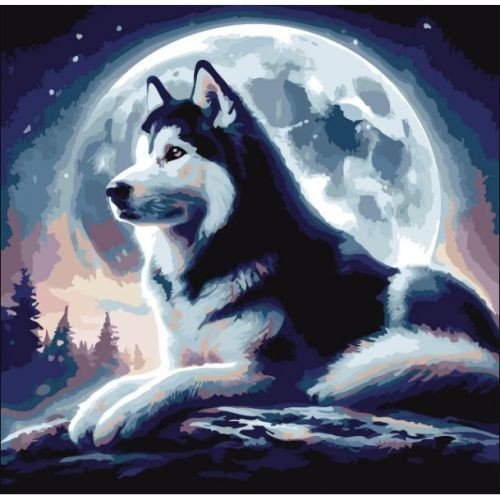 Картина за номерами "Хаскі" 30х30 см