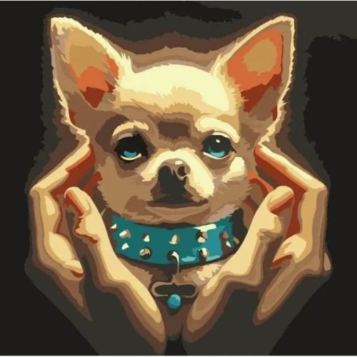 Картина за номерами "Чихуахуа" 30х30 см