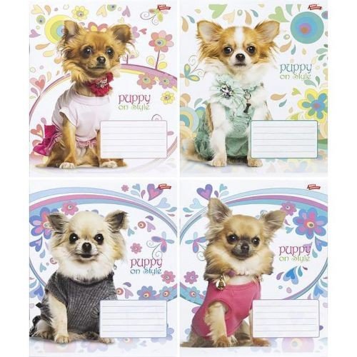 Зошит кольоровий 12 листів, клітина "3506" D