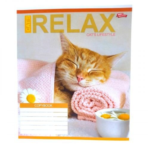 Зошит кольоровий 24 аркуша, лінія 3451N