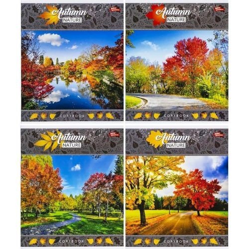 Зошит кольоровий 24 листи, клітина 3474 N