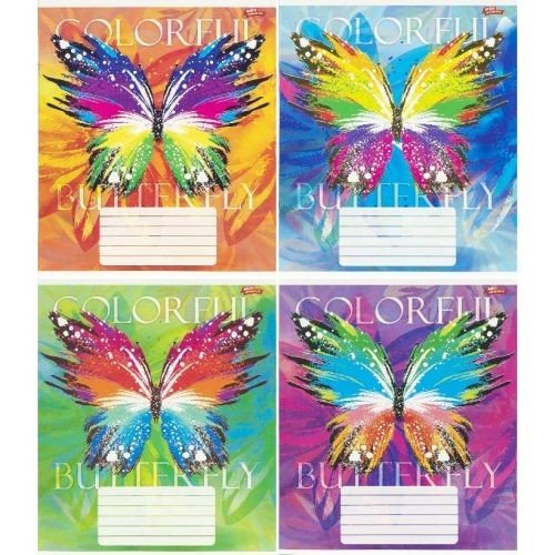 Зошит кольоровий 24 листи, клітина 3780D