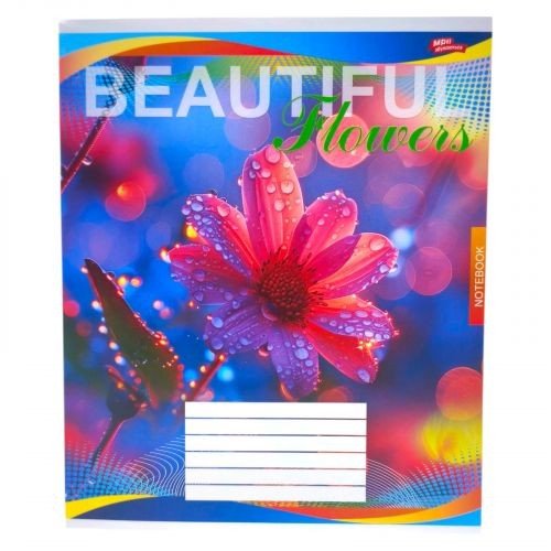 Зошит кольоровий 48 аркушів, клітинка 3813