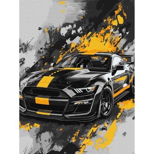 Набір для розпису по номерах "Спортивний стиль" 30х40см