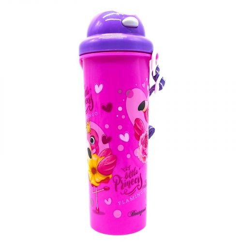 Пляшка для води 700мл 45023-1