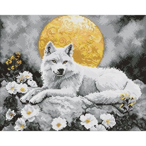 Набір з алмазною мозаїкою "Під світлом місяця" 40х50см