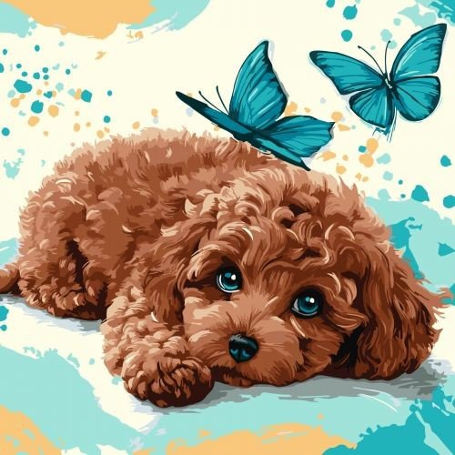 Картина за номерами "Милий пудель" 40х40 см