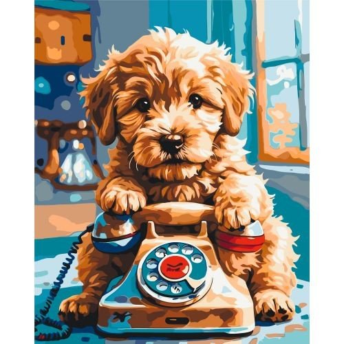 Картина за номерами "МИЛИЙ ПЕСИК (ГОЛДЕНДУДЛЬ)" 40х50 см