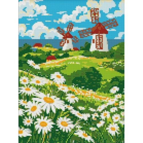 Алмазна мозаїка  "Поле ромашок" 30х40 см