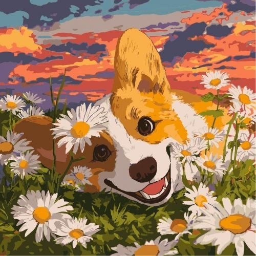 Картина по номерах "Коргі в ромашках" 40х40 см