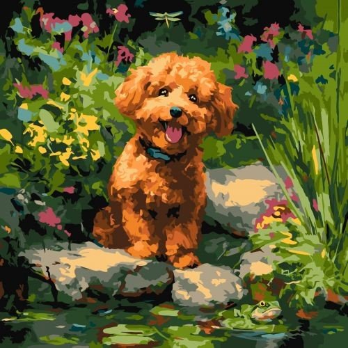 Картина по номерах "Пудель на ставк" 40х40 см