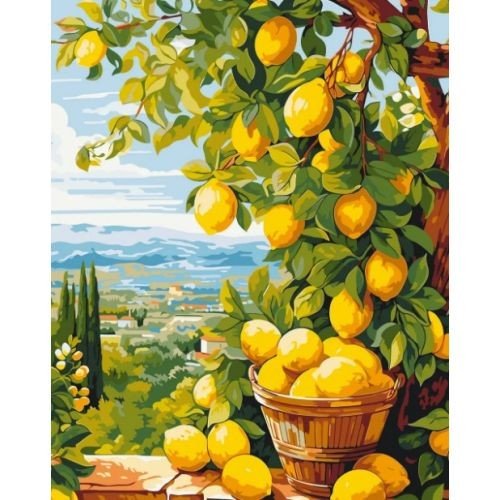 Картина за номерами "Лимонне дерево" 40*50 см