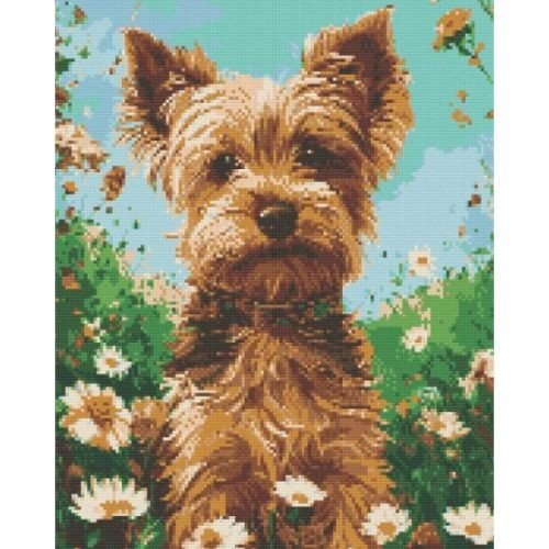 Алмазна мозаїка "Йоркширський терʼєр" 40х50 см