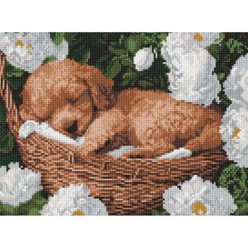 Алмазна мозаїка "Сплячий пудель" 30x40см