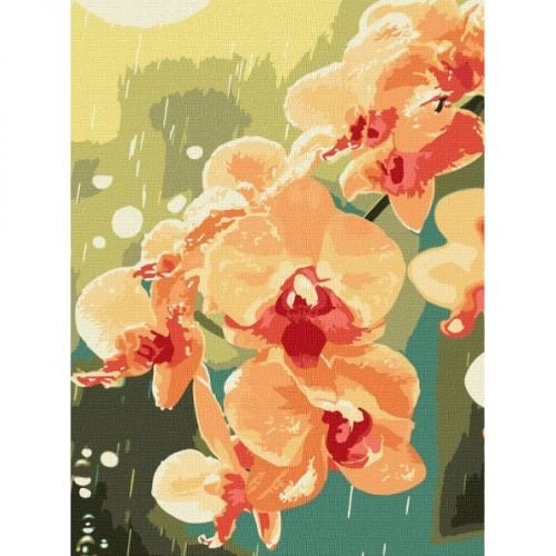 Картина за номерами "Орхідея в краплях" 30x40см