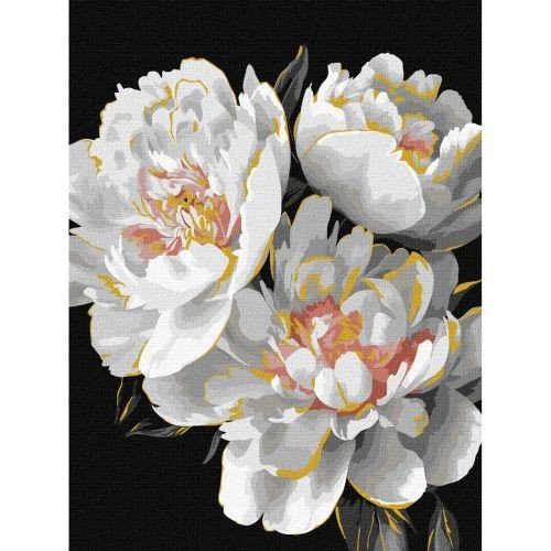 Картина за номерами з фарбами металік "Білосніжні бутони" 30х40см