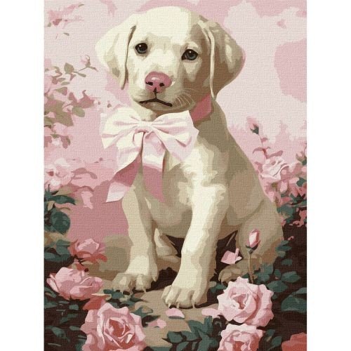 Картина за номерами "Пухнастий подарунок" 30х40 см