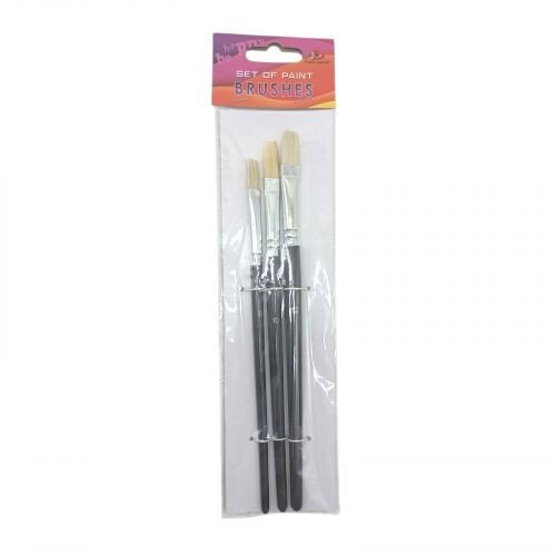 Набір пензлів для малювання,Щетина,розмір 8,10,12 3шт.в пакеті,плоска головка,деревʼяна ручка