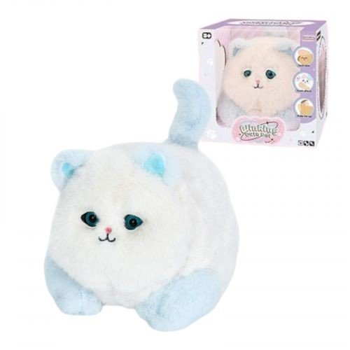 Кошеня в коробці