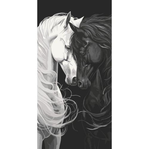 Картина за номерами "Світло і тінь" 40х80 см