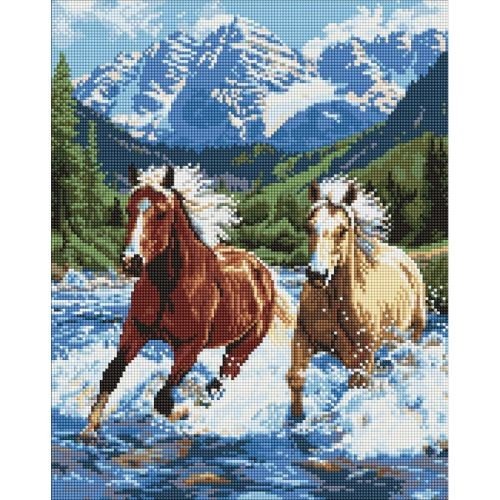 Алмазна мозаїка "Сила у русі" 40х50 см