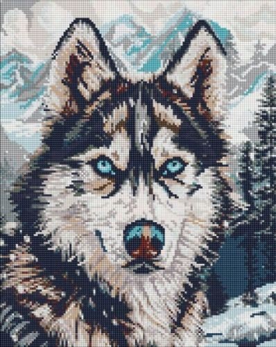 Алмазна мозаїка - "Очі півночі" ©art_selena_ua, 40х50см