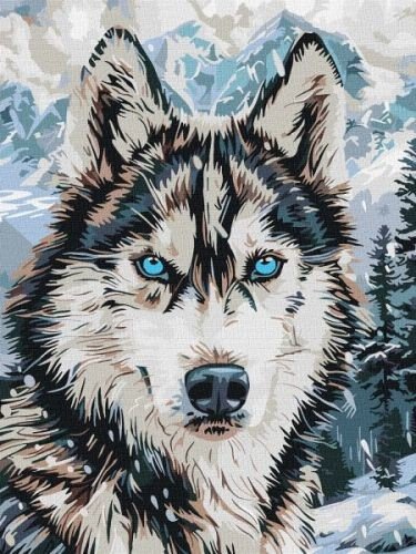 Картина за номерами - "Очі півночі" ©art_selena_ua, 30х40см