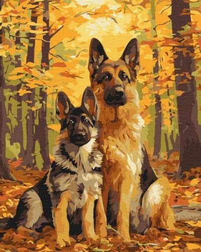 Картина за номерами - Лісові друзі 40х50 см.