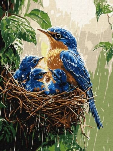 Картина за номерами - Весняний дощ 30х40 см.