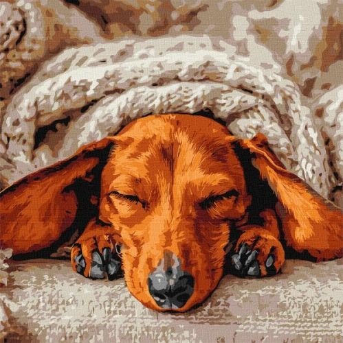 Картина за номерами - Солодкий спокій 40х40 см.