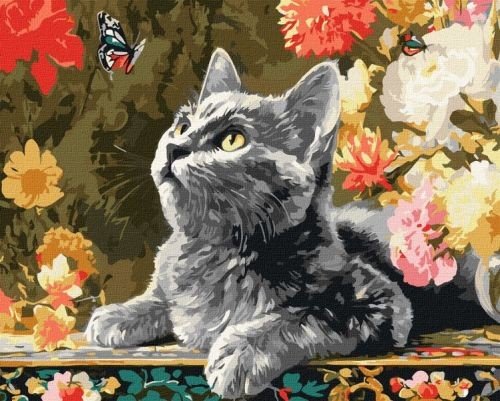 Картина за номерами - "Кошеня та метелики" ©art_selena_ua, 40х50см