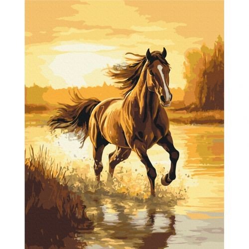 Картина по номерам "Вітер у гриві" 40x50 см.