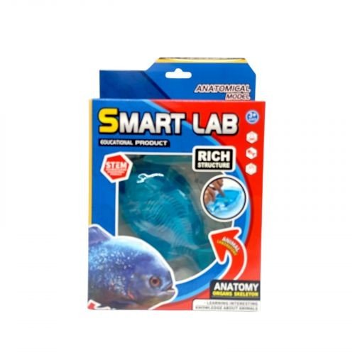 Набір для дослідів  Анатомія тварин, Піранья