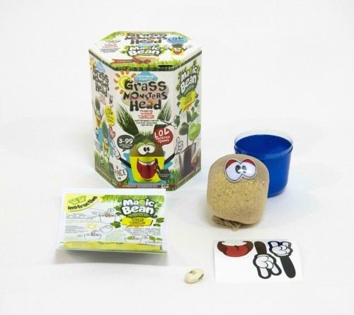 Набір креативної творчості "Grass Monsters Head" (укр)