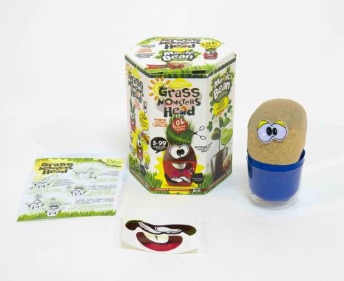 Набір креативної творчості "Grass Monsters Head" (укр)