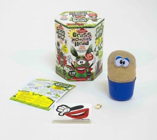 Набір креативної творчості "Grass Monsters Head" (укр)