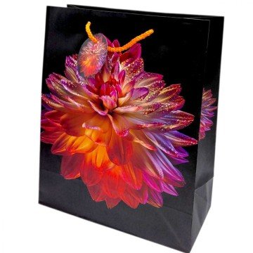 Фото1.Пакет паперовий 26х32х12 см