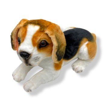 Фото1.Пес Оскар 2 м