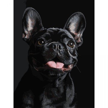 Фото1.Картина по номерах на чорному фоні 