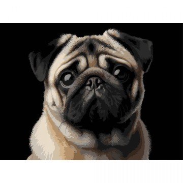 Фото1.Картина по номерах на чорному фоні 